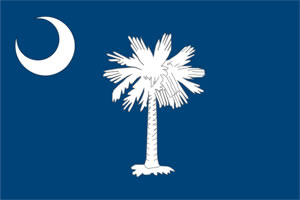 South Carolina's flag